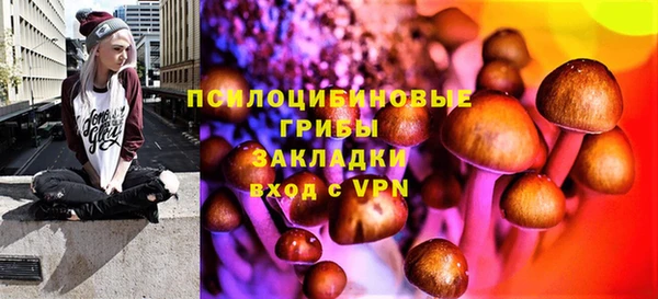 первитин Арсеньев