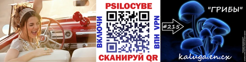 Псилоцибиновые грибы GOLDEN TEACHER  Купить закладки  Нея 