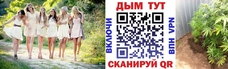 Бошки Шишки Amnesia  Купить  Нея 